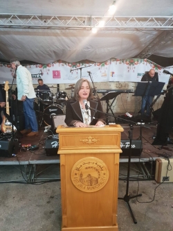 Christmas tree lightning 2018 - 04