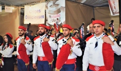 Christmas tree lightning 2018 - 16