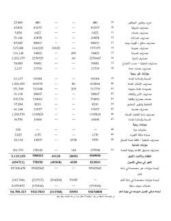 بلدية بيت جالا التقارير المالية النهائية كما في 31122019-page-008