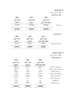 بلدية بيت جالا التقارير المالية النهائية كما في 31122019-page-032