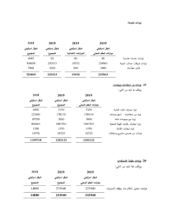 بلدية بيت جالا التقارير المالية النهائية كما في 31122019-page-034