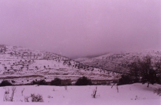 View-winter2003
