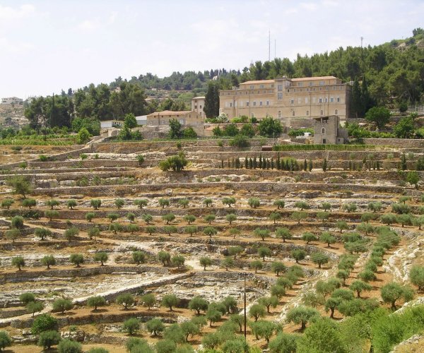 Tourist Attractions 